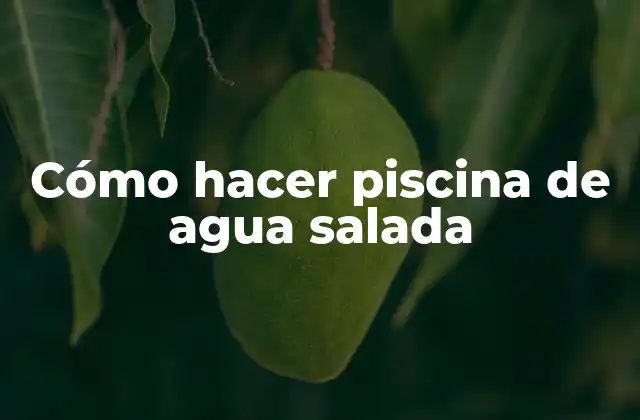 Cómo Hacer Piscina de Agua Salada