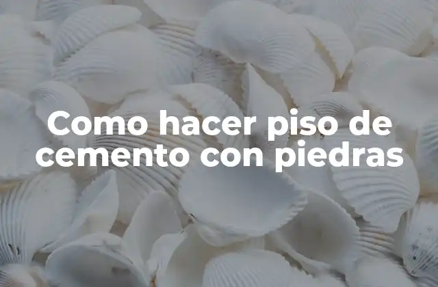 Como Hacer Piso de Cemento con Piedras