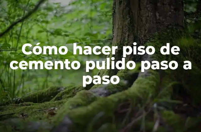 Cómo Hacer Piso de Cemento Pulido Paso a Paso