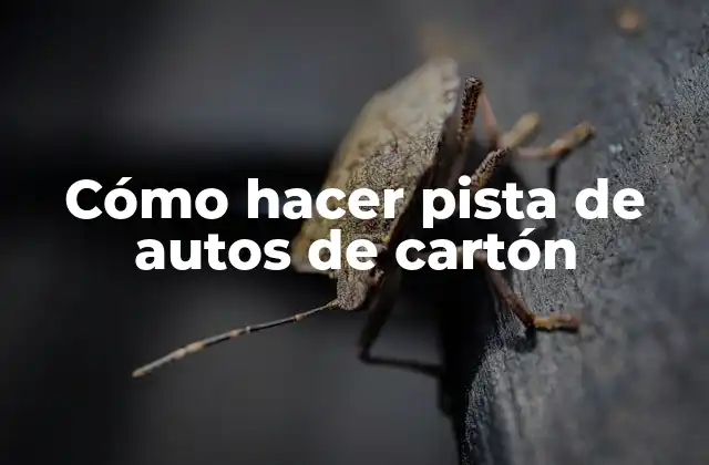Cómo Hacer Pista de Autos de Cartón