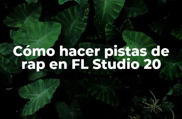 Cómo Hacer Pistas de Rap en Fl Studio 20