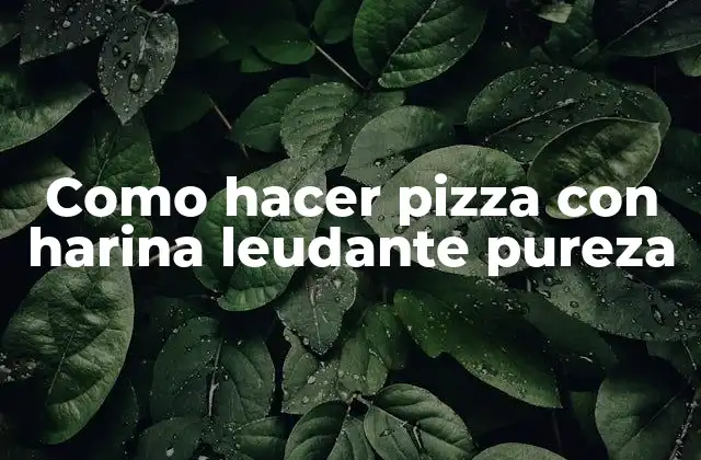 Como Hacer Pizza con Harina Leudante Pureza