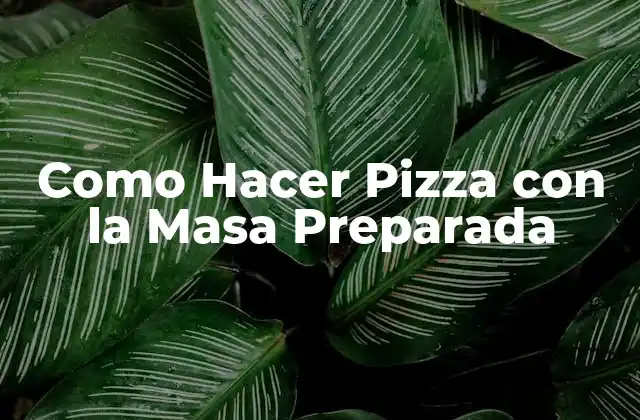 Como Hacer Pizza con la Masa Preparada