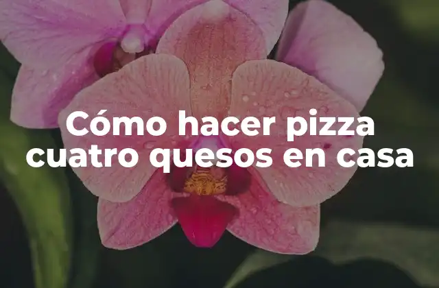 Cómo Hacer Pizza Cuatro Quesos en Casa
