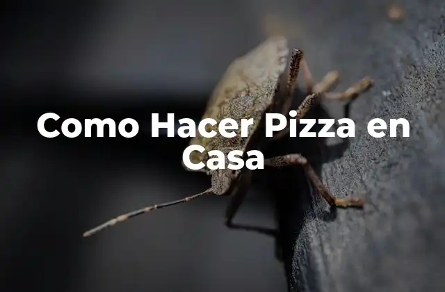 Como Hacer Pizza en Casa