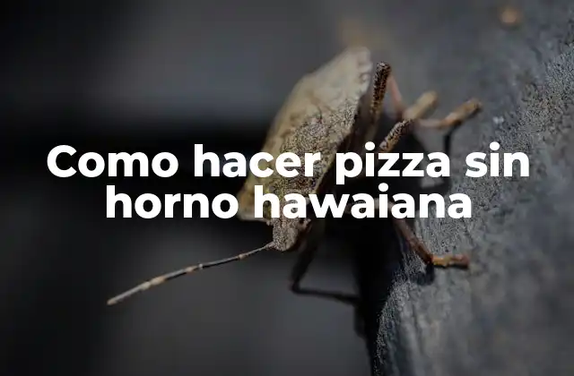 Como Hacer Pizza sin Horno Hawaiana