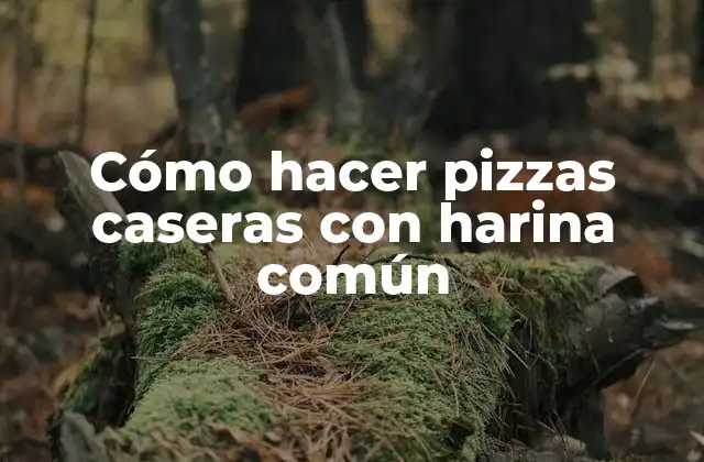Cómo Hacer Pizzas Caseras con Harina Común 2 Cómo hacer pizzas caseras con harina común