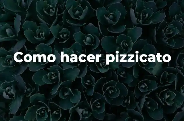 Como Hacer Pizzicato 2 ¿Qué es el pizzicato?