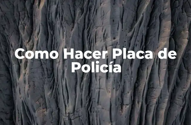 ¿Qué es una Placa de Policía y Para Qué Sirve?