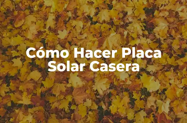 Cómo Hacer Placa Solar Casera
