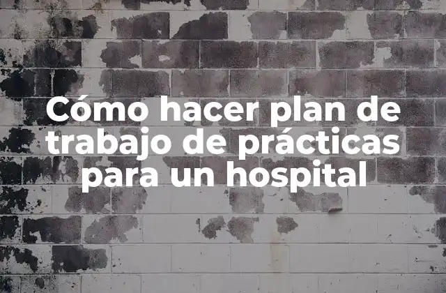 Cómo Hacer Plan de Trabajo de Prácticas para un Hospital