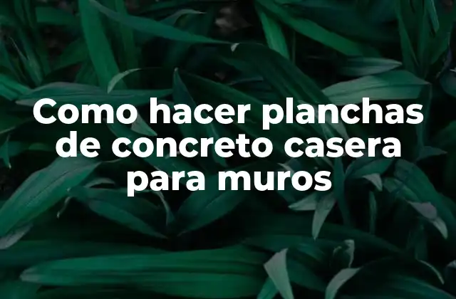 Como Hacer Planchas de Concreto Casera para Muros