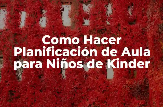 Como Hacer Planificación de Aula para Niños de Kinder