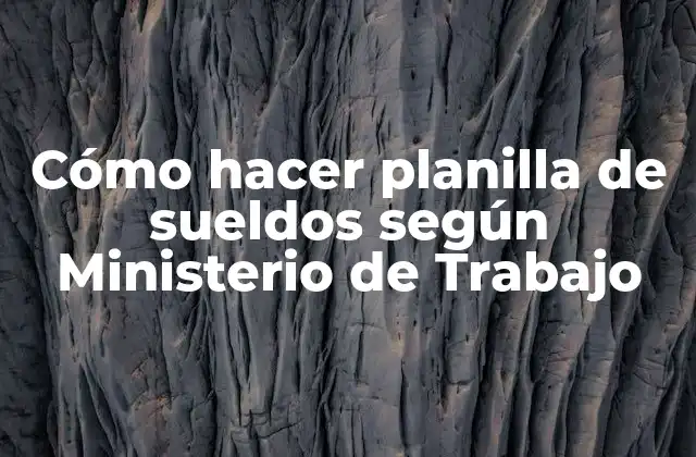 Cómo Hacer Planilla de Sueldos según Ministerio de Trabajo
