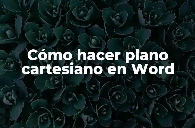 Cómo Hacer Plano Cartesiano en Word