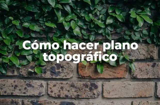 Cómo Hacer Plano Topográfico 2 Cómo hacer plano topográfico