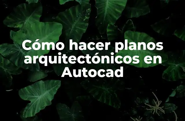 Cómo Hacer Planos Arquitectónicos en Autocad