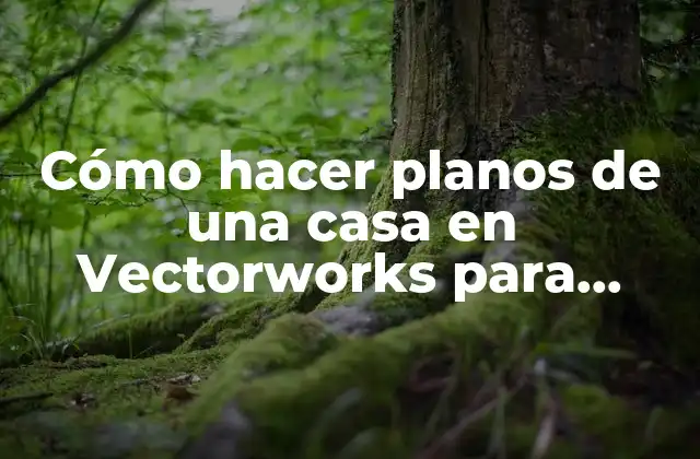 Cómo hacer planos de una casa en Vectorworks para proyectos