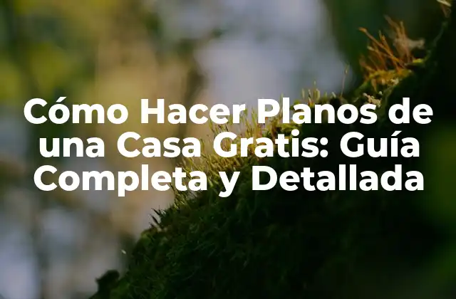 Cómo Hacer Planos de una Casa Gratis: Guía Completa y Detallada