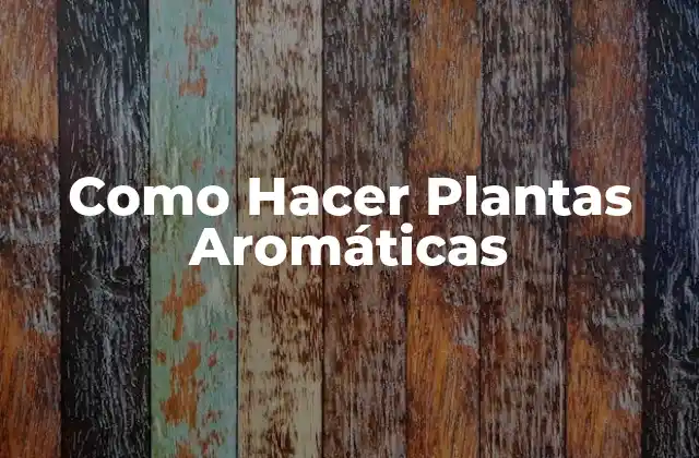 Como Hacer Plantas Aromáticas