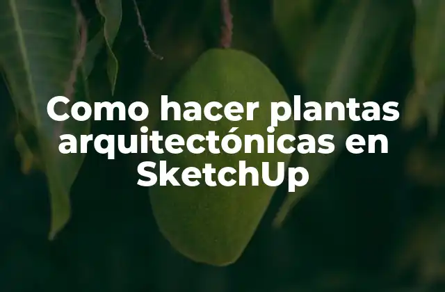 Como Hacer Plantas Arquitectónicas en Sketchup