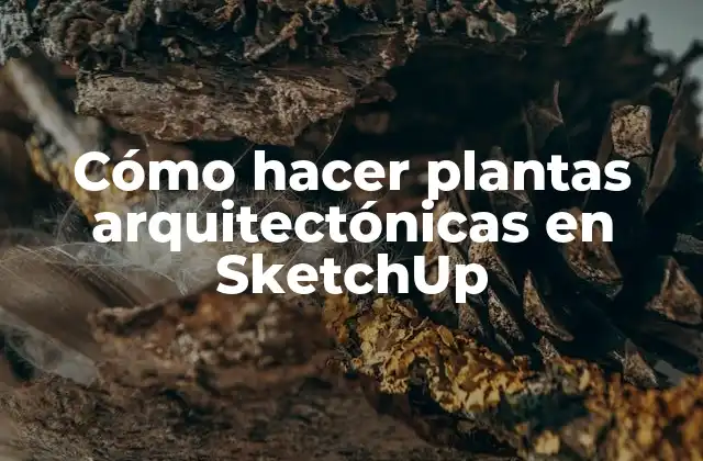 Cómo Hacer Plantas Arquitectónicas en Sketchup