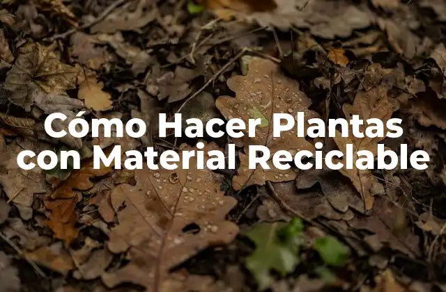 Cómo Hacer Plantas con Material Reciclable