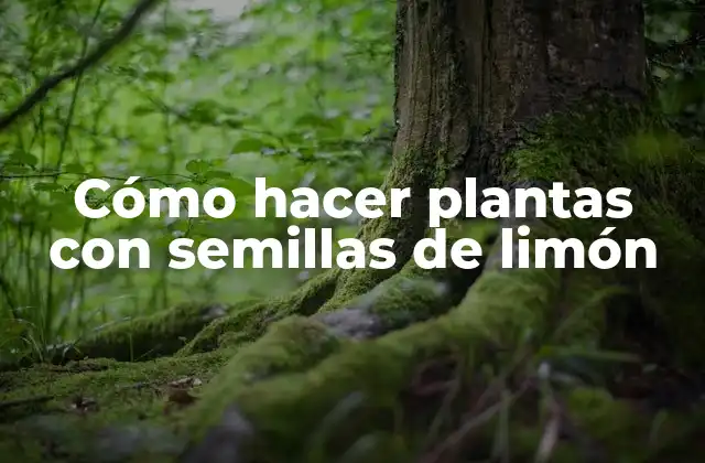 Cómo Hacer Plantas con Semillas de Limón