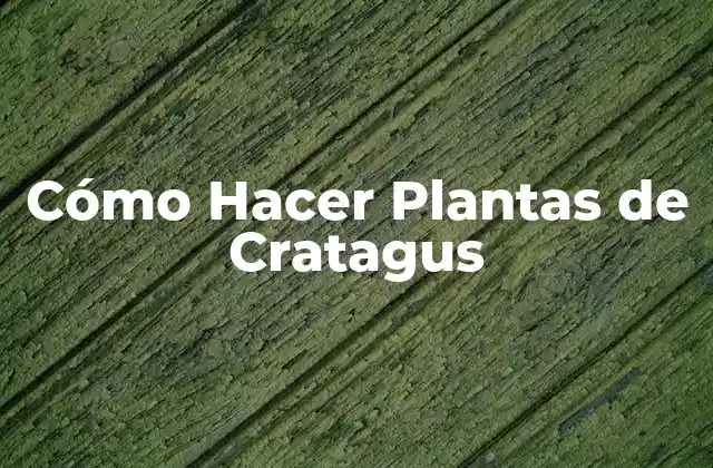 Cómo Hacer Plantas de Cratagus