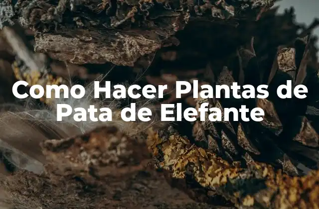 Como Hacer Plantas de Pata de Elefante