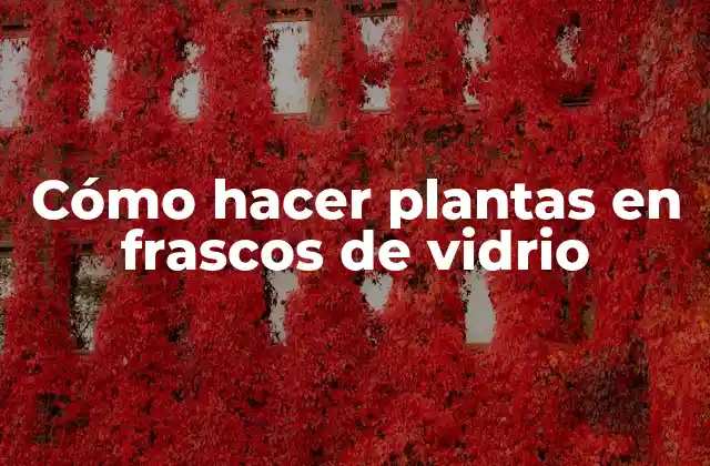 Cómo Hacer Plantas en Frascos de Vidrio