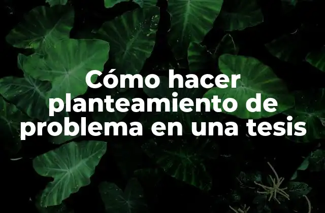 Cómo Hacer Planteamiento de Problema en una Tesis