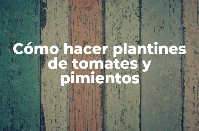 Cómo Hacer Plantines de Tomates y Pimientos