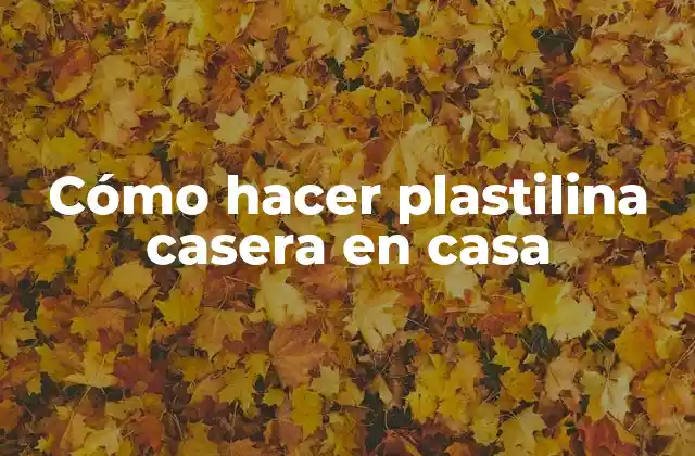 Cómo Hacer Plastilina Casera en Casa