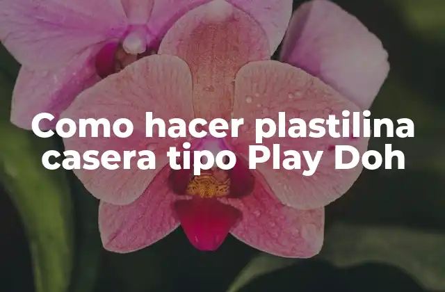 Plastilina casera tipo Play Doh: ¿Qué es y para qué sirve?