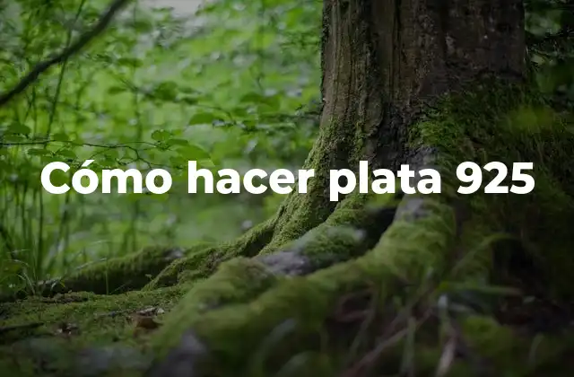 Cómo Hacer Plata 925
