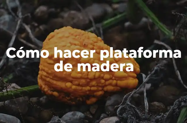 Cómo Hacer Plataforma de Madera 2 Plataforma de madera
