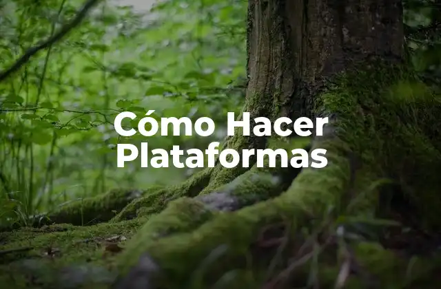 Cómo Hacer Plataformas