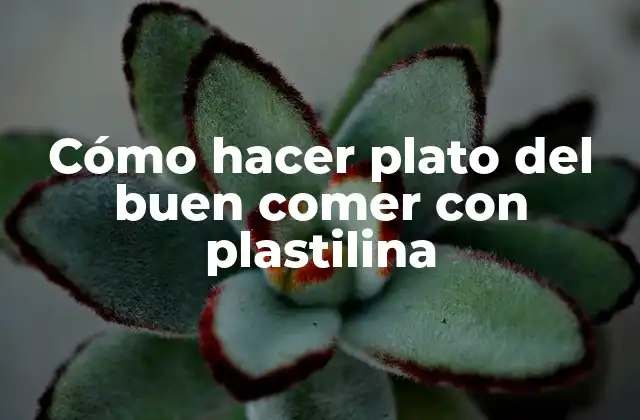 Cómo Hacer Plato Del Buen Comer con Plastilina