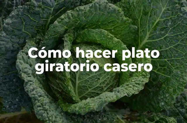 Cómo Hacer Plato Giratorio Casero