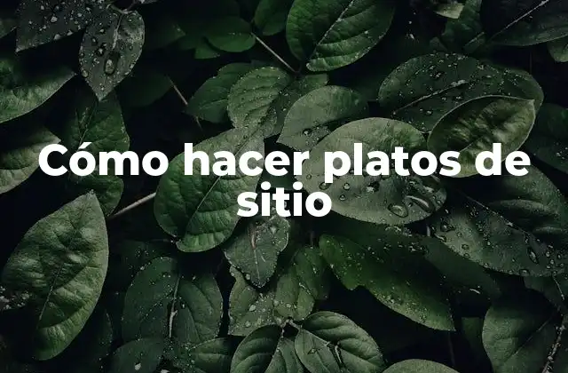 Cómo Hacer Platos de Sitio