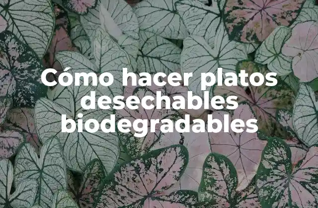 Cómo hacer platos desechables biodegradables