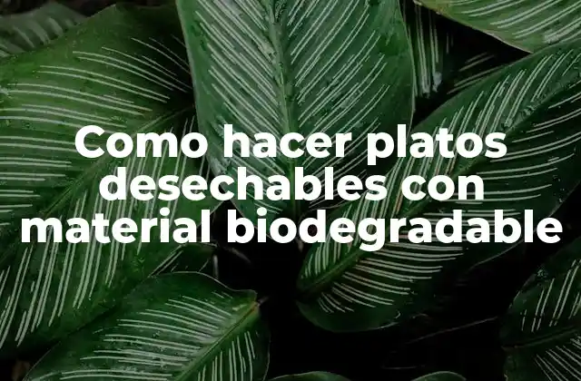 Como Hacer Platos Desechables con Material Biodegradable