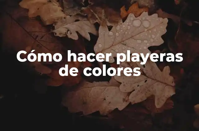 Cómo Hacer Playeras de Colores