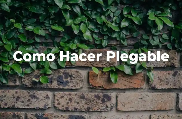 ¿Qué es un Plegable?