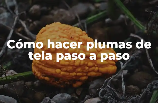 ¿Qué son las plumas de tela y para qué sirven?