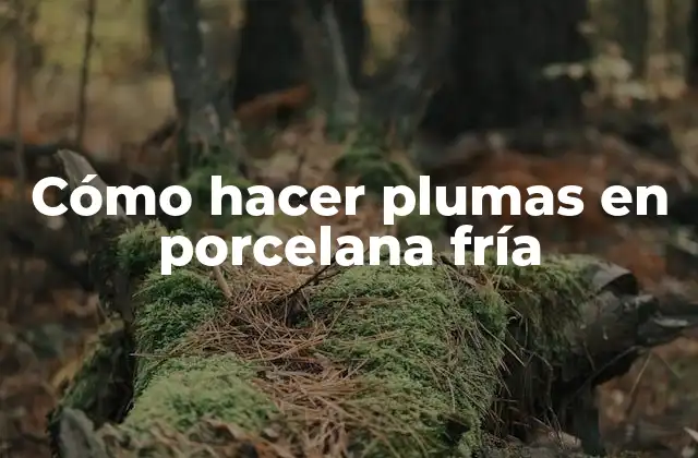 Cómo Hacer Plumas en Porcelana Fría