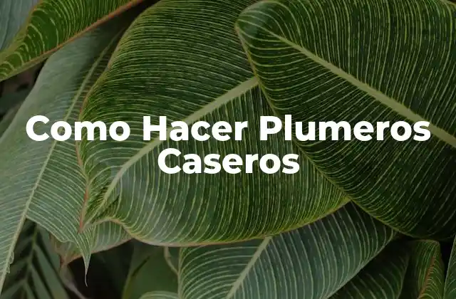 Como Hacer Plumeros Caseros
