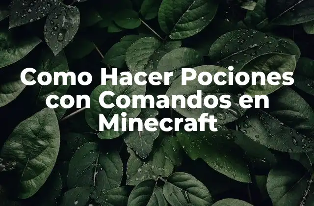 Como Hacer Pociones con Comandos en Minecraft 2 ¿Qué son las Pociones con Comandos en Minecraft?