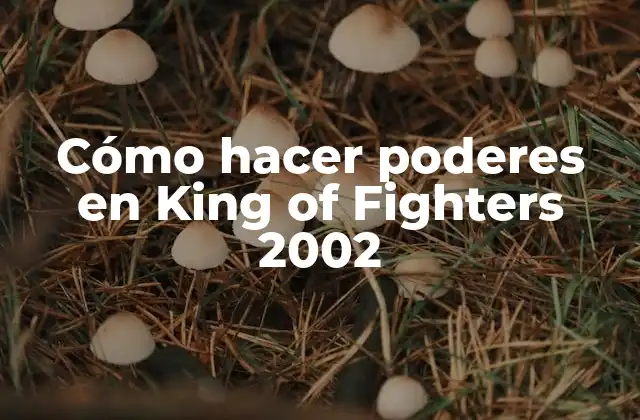 Cómo Hacer Poderes en King Of Fighters 2002
